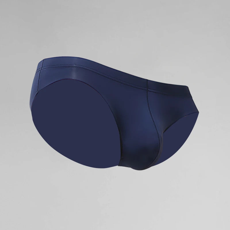 Men's briefs sheer