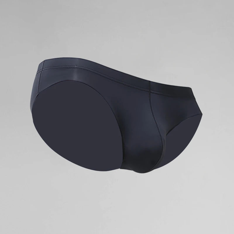 Men's briefs sheer