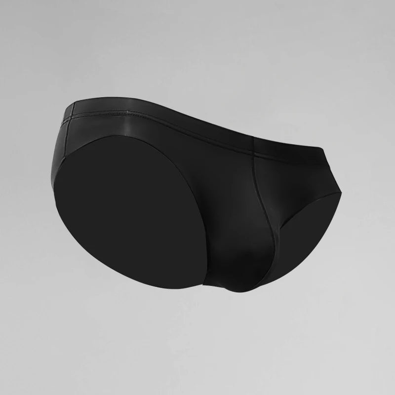 Men's briefs sheer