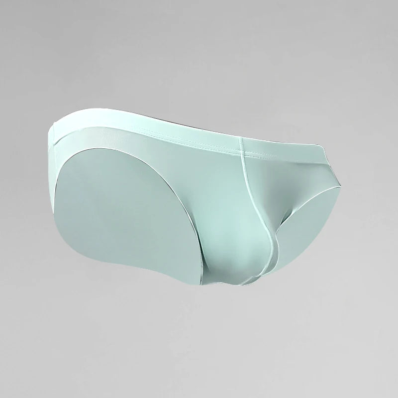 Men's briefs sheer