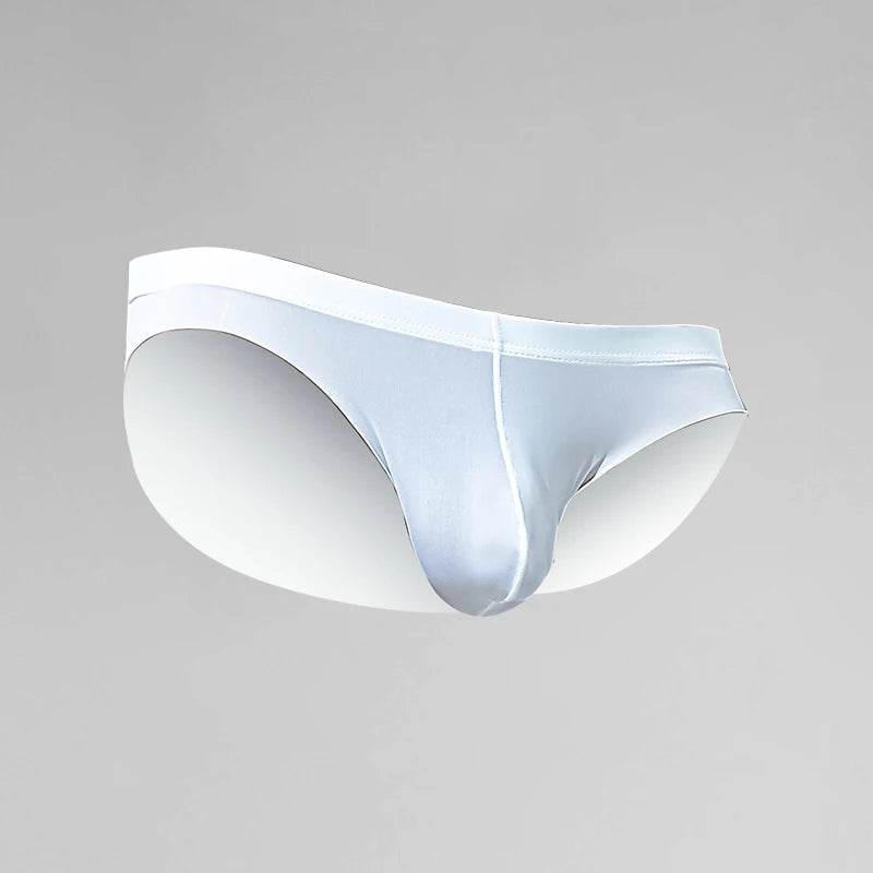Men's briefs sheer